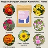 image:imageinbloom Fragrant Bouquet Seed Pod Kit for Hydroponics Growing Systemwith Grow Sponge amp Grow Basket amp AB Food amp 7 Type of Seed7Pods
