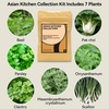 image:imageinbloom Vibrant Wildflower amp Fruit Mixd Seed Pod Kit for AeroGarden Ahopegarden Hydroponics Growing System 7Pods 350 Seeds Include Dwarf Sunflower Marigold Red Cherry Tomato Red StrawberryZucchini