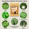 image:imageinbloom Vibrant Wildflower amp Fruit Mixd Seed Pod Kit for AeroGarden Ahopegarden Hydroponics Growing System 7Pods 350 Seeds Include Dwarf Sunflower Marigold Red Cherry Tomato Red StrawberryKitchens Herb