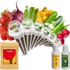 image:imageinbloom Salad Seed Pod Kit Compatible with AeroGarden Ahopegarden iDoo MUFGA Hydroponics Growing System 400 Mixed Seeds with American FastParis IslandButtercrunchRomaine Lettuce 7PodFruit
