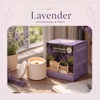 image:image64 oz 2in1 Soy Candle Planter Grows Lavender