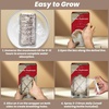 image:imageInbloom Organic Golden Oyster Mushroom Growing KitGrey