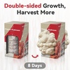 image:imageInbloom Organic Golden Oyster Mushroom Growing KitWhite