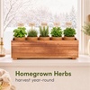 image:imageIndoor Herb Garden Kit Herb Starter Kit with Seeds amp Tools for Beginners