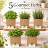 image:imageIndoor Herb Garden Kit Herb Starter Kit with Seeds amp Tools for Beginners