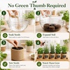 image:imageIndoor Herb Garden Kit Herb Starter Kit with Seeds amp Tools for Beginners