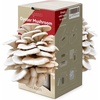 image:imageInbloom Organic Golden Oyster Mushroom Growing KitGrey