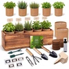 image:imageIndoor Herb Garden Kit Herb Starter Kit with Seeds amp Tools for Beginners