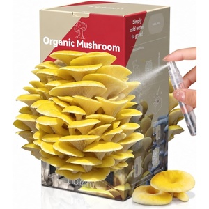 image:imageInbloom Organic Golden Oyster Mushroom Growing KitGold