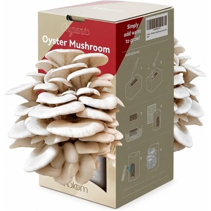 image:imageInbloom Organic Golden Oyster Mushroom Growing KitGrey