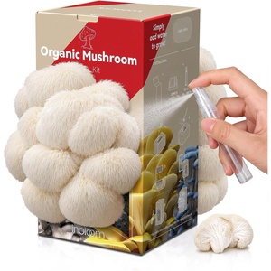 image:imageInbloom Organic Golden Oyster Mushroom Growing KitWhite