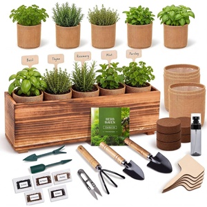 image:imageIndoor Herb Garden Kit Herb Starter Kit with Seeds amp Tools for Beginners