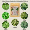 image:imageInbloom Fragrant Bouquet Flower 7 Pods Seed Pod Kit for AeroGarden iDoo Ahopegarden GARDENCUBE350 Flower Seeds with Marigold Daisy Cockscomb Borage Dwarf Sunflower Bambino Marigold DahliaHerb