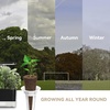 image:imageInbloom Fragrant Bouquet Flower 7 Pods Seed Pod Kit for AeroGarden iDoo Ahopegarden GARDENCUBE350 Flower Seeds with Marigold Daisy Cockscomb Borage Dwarf Sunflower Bambino Marigold DahliaPepper