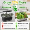 image:imageInbloom Fragrant Bouquet Flower 7 Pods Seed Pod Kit for AeroGarden iDoo Ahopegarden GARDENCUBE350 Flower Seeds with Marigold Daisy Cockscomb Borage Dwarf Sunflower Bambino Marigold DahliaFruit