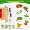 image:imageInbloom Fragrant Bouquet Flower 7 Pods Seed Pod Kit for AeroGarden iDoo Ahopegarden GARDENCUBE350 Flower Seeds with Marigold Daisy Cockscomb Borage Dwarf Sunflower Bambino Marigold DahliaFruit