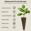 image:imageInbloom Fragrant Bouquet Flower 7 Pods Seed Pod Kit for AeroGarden iDoo Ahopegarden GARDENCUBE350 Flower Seeds with Marigold Daisy Cockscomb Borage Dwarf Sunflower Bambino Marigold DahliaHerb