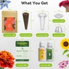 image:imageInbloom Fragrant Bouquet Flower 7 Pods Seed Pod Kit for AeroGarden iDoo Ahopegarden GARDENCUBE350 Flower Seeds with Marigold Daisy Cockscomb Borage Dwarf Sunflower Bambino Marigold DahliaFragrant Flower