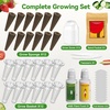 image:imageInbloom Fragrant Bouquet Flower 7 Pods Seed Pod Kit for AeroGarden iDoo Ahopegarden GARDENCUBE350 Flower Seeds with Marigold Daisy Cockscomb Borage Dwarf Sunflower Bambino Marigold DahliaFruit