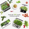 image:imageInbloom Fragrant Bouquet Flower 7 Pods Seed Pod Kit for AeroGarden iDoo Ahopegarden GARDENCUBE350 Flower Seeds with Marigold Daisy Cockscomb Borage Dwarf Sunflower Bambino Marigold DahliaPepper