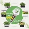 image:imageInbloom Fragrant Bouquet Flower 7 Pods Seed Pod Kit for AeroGarden iDoo Ahopegarden GARDENCUBE350 Flower Seeds with Marigold Daisy Cockscomb Borage Dwarf Sunflower Bambino Marigold DahliaFragrant Flower