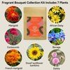 image:imageInbloom Fragrant Bouquet Flower 7 Pods Seed Pod Kit for AeroGarden iDoo Ahopegarden GARDENCUBE350 Flower Seeds with Marigold Daisy Cockscomb Borage Dwarf Sunflower Bambino Marigold DahliaFragrant Flower