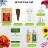 image:imageInbloom Fragrant Bouquet Flower 7 Pods Seed Pod Kit for AeroGarden iDoo Ahopegarden GARDENCUBE350 Flower Seeds with Marigold Daisy Cockscomb Borage Dwarf Sunflower Bambino Marigold DahliaFlower