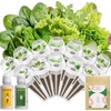 image:imageInbloom Fragrant Bouquet Flower 7 Pods Seed Pod Kit for AeroGarden iDoo Ahopegarden GARDENCUBE350 Flower Seeds with Marigold Daisy Cockscomb Borage Dwarf Sunflower Bambino Marigold DahliaSalad