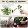 image:imageInbloom Fragrant Bouquet Flower 7 Pods Seed Pod Kit for AeroGarden iDoo Ahopegarden GARDENCUBE350 Flower Seeds with Marigold Daisy Cockscomb Borage Dwarf Sunflower Bambino Marigold DahliaSalad