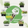 image:imageInbloom Fragrant Bouquet Flower 7 Pods Seed Pod Kit for AeroGarden iDoo Ahopegarden GARDENCUBE350 Flower Seeds with Marigold Daisy Cockscomb Borage Dwarf Sunflower Bambino Marigold DahliaSalad