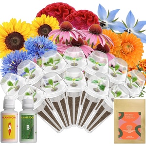 image:imageInbloom Fragrant Bouquet Flower 7 Pods Seed Pod Kit for AeroGarden iDoo Ahopegarden GARDENCUBE350 Flower Seeds with Marigold Daisy Cockscomb Borage Dwarf Sunflower Bambino Marigold DahliaFlower