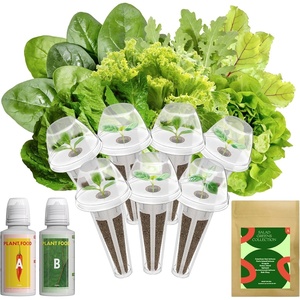 image:imageInbloom Fragrant Bouquet Flower 7 Pods Seed Pod Kit for AeroGarden iDoo Ahopegarden GARDENCUBE350 Flower Seeds with Marigold Daisy Cockscomb Borage Dwarf Sunflower Bambino Marigold DahliaSalad